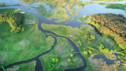 Aerial view of natural river in spring