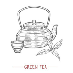 Kettle Cup and Tea Leaves in Hand Drawn Style