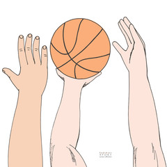 Male hands reaching for basket ball. Strugglng for victory. Playing, holding, throwing. Hand drawn colored sketch. Isolated on white background