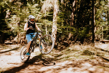 Mountainbike-Fahrer im Wald auf Hinterrad © frankjayhoffmann