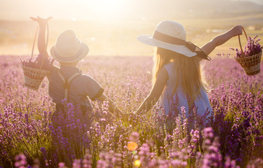 Brother and sister in lavender field