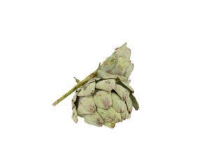 Obraz premium Artichoke half 2