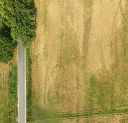 Abstract vertical aerial view of a path at a field with a few trees and bushes in the corner of the...