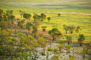 Aerial view at wetland with trees illuminated by beautiful sunset light. Australian Kakadu park.