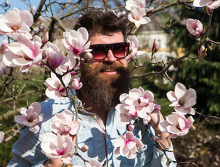 Brutal macho smiling near tender flowers on sunny day. Man with beard and mustache wears...