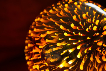 Shining light bulb with firework effect. Abstract background, closeup photo