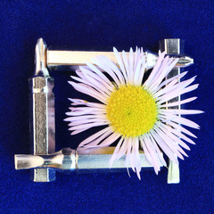 Image of special nozzles and chamomile.