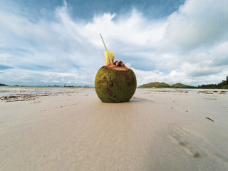 Coconut on the Beach