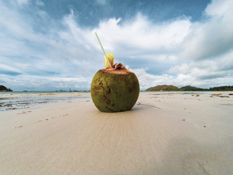 Coconut on the Beach