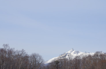 駒ヶ岳　冬　木　素材