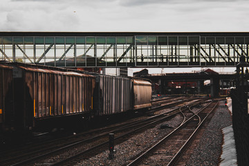 Train Hoppers and Rails in Roanoke