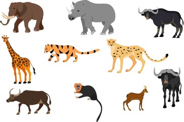 African wild animals isolated on white vector set, elephant, giraffe, rhino, ape, cheetah.