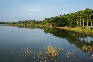 Beautiful lake and tree.