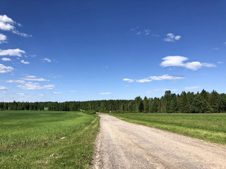 Country road in Belarus