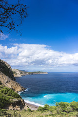 Pine trees shadows on the crystalline water, Mallorca
