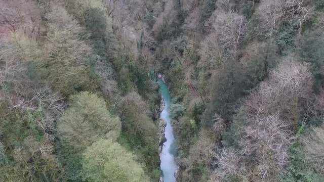Drone view of canyon, mountains and Khosta River in Yew and Box-tree Grove in spring day, Sochi, Russia
