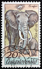 Postage stamp Czechoslovakia 1976 African Elephant, Animal