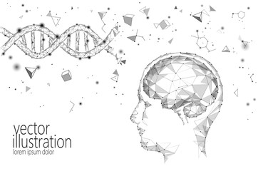 Human brain IQ smart business concept. E-learning nootropic drug supplement DNA medicine neuroscience braingpower. Brainstorm creative idea project work low poly polygonal vector illustration