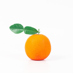 orange fruit on white background isolate.