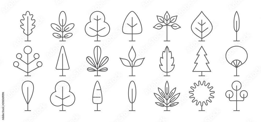 Wall mural Tree line icon set. Vector collection. Different thin simple outline