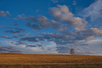 Fototapeta premium Russia. The South Of Western Siberia. Evening sunset in early spring in the mountain Shoria