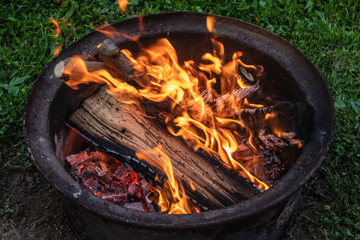 Blazing Campfire