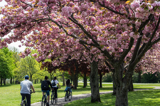 Bicycling in the Park
