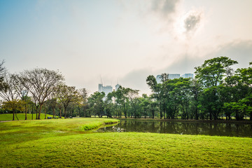 Obraz premium Green grass field with lake in Public Park