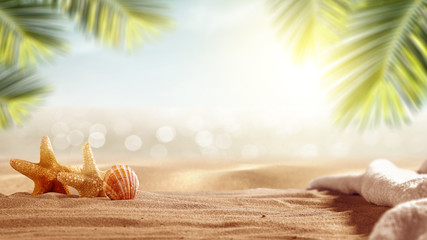 Beach sand floor in close-up with a shell and copy space against the background of a blurred sea...