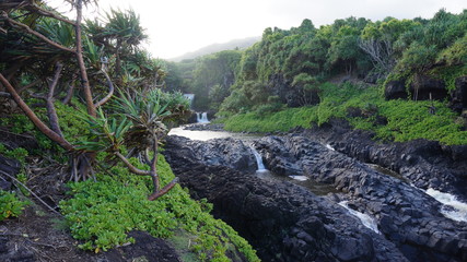 Hawaii Natur