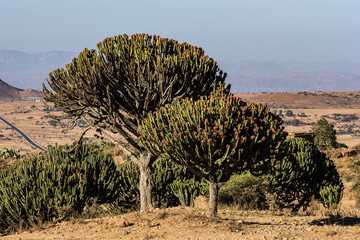 Äthiopien - Gheralta Lodge bei Hawzien