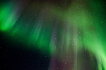 Aurores bor&eacute;ales aux Lofoten, Norv&egrave;ge