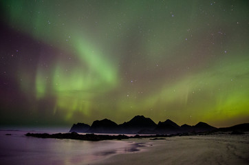 Aurores boréales aux Lofoten, Norvège
