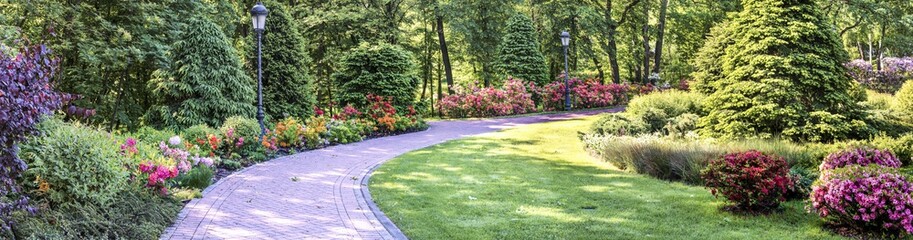 Fototapeta premium Panorama of the flower alley in Mezhigirya Park near Kiev