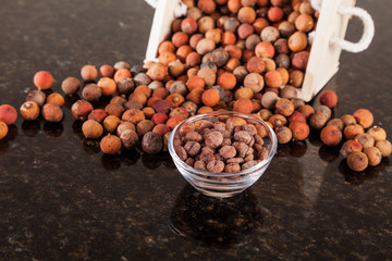 Corozo tropical fruit - Bactris guineensis