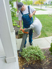 Gardener vacuuming up leaves around bushes