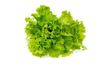 green salad leaves on white background