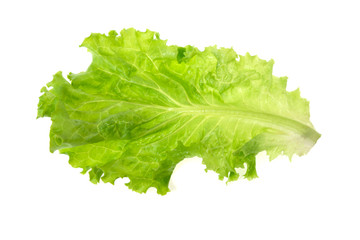 lettuce leaves on white background