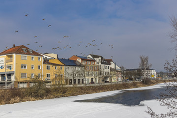 ducks flying over a frozen river in an bavarian city