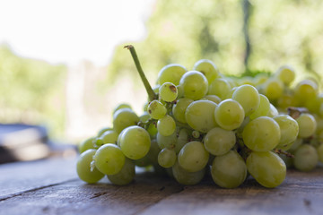 close-up of white italy grapes on wooden planks 2