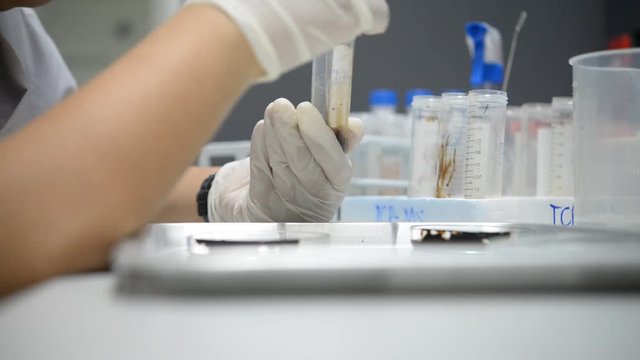 Scientist working in the lab,Make experiments and research to develop products from the company's customers,Work in a modern laboratory