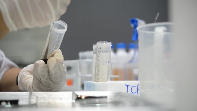 Scientist working in the lab,Make experiments and research to develop products from the company's customers,Work in a modern laboratory