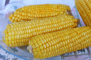 boiled corn

