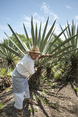 Henequen Cactus Farmer