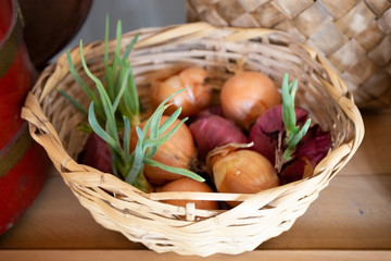 Onion sprouted in a wicker basket