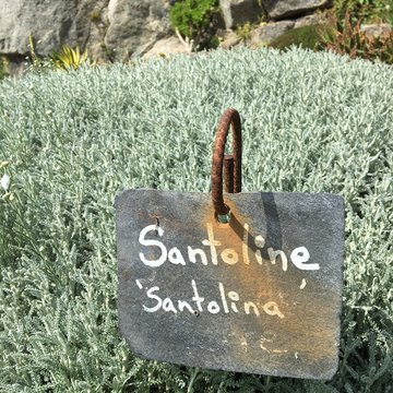 Santoline , affisachage, support ardoise 