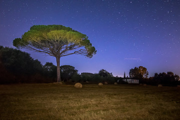 nocturnal night astrophotography