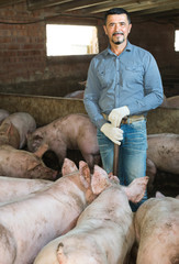 Mature farmer in hangar with hogs.
