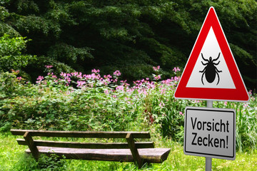 Schild mit Zeckenwarnung in gefährdetem Gebiet im Wald mit Ruhebank