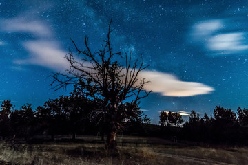 nocturnal night astrophotography